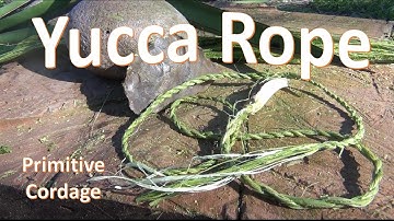 How To Make Yucca Rope (Primitive)