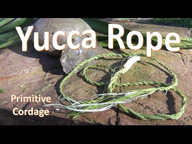 How To Make Yucca Rope (Primitive) 