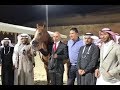 بطولة الرياض لجمال الخيل العربية الأصيلة 2017 