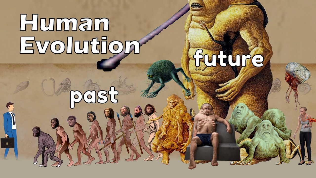 Human Evolution Future What Makes Us Human? Researchers Claim We're