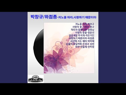 Swallowed Tears (눈물이 보일까봐)