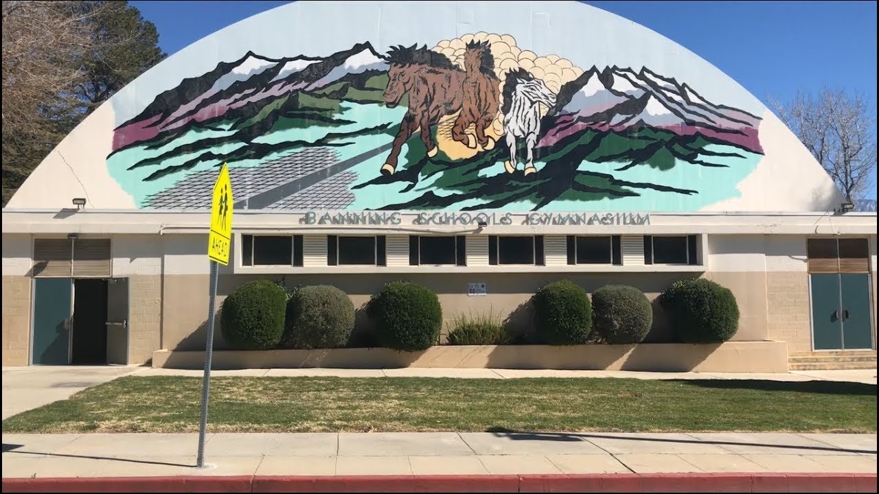 Banning California YouTube