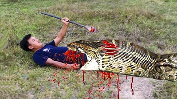 Primitive Technology - Easy Snake Trap That Work 100%