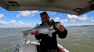 ***UK Boat Fishing!*** Solent Boat Fishing For Bass And Smoothhounds