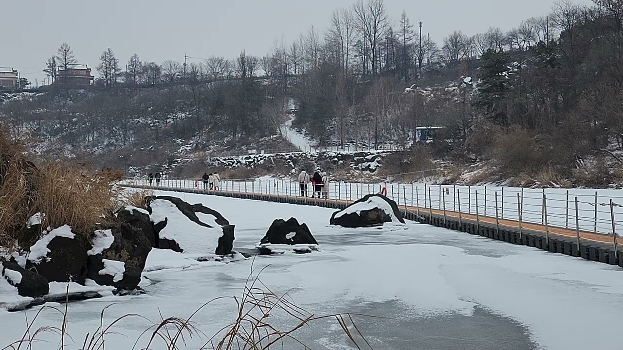 2026년2월4일 수요일  철원한탄강 물윗길