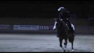 Wimpys Lil Shiner Rifeser Ewald März 2015