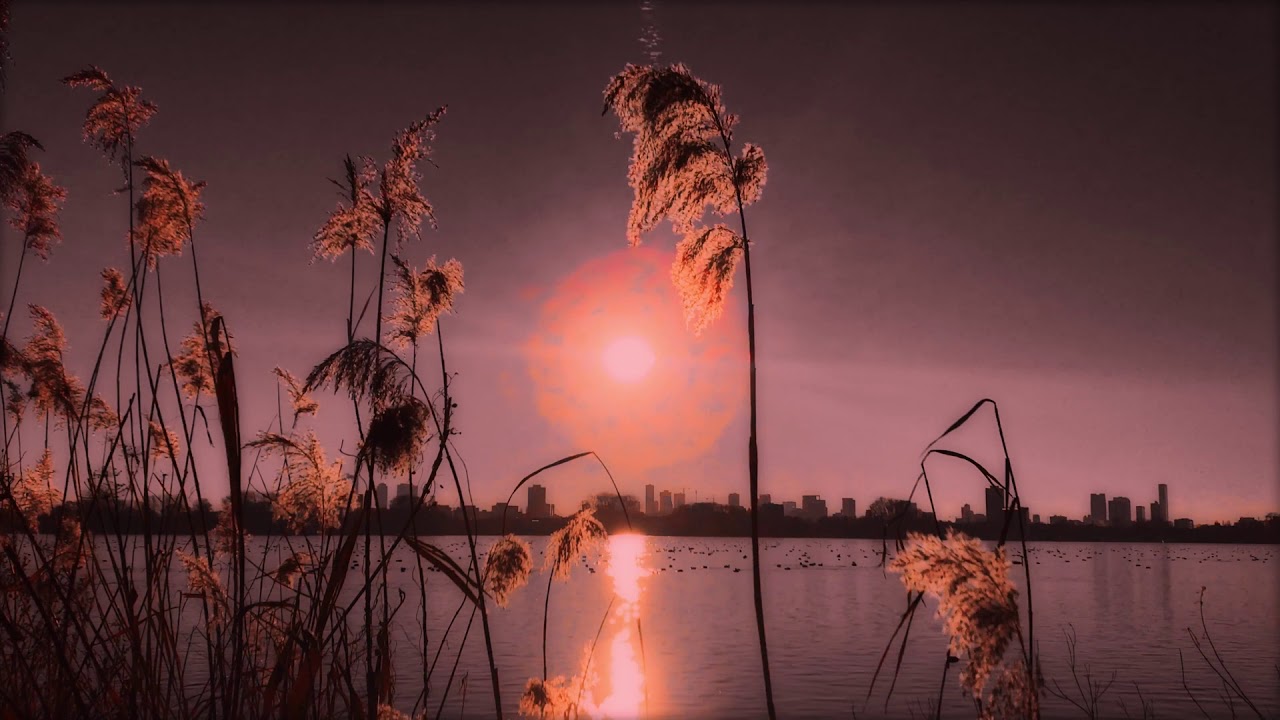 Gavran - Mjera