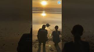 Released Sea Turtle Waddles Into The Sunset #turtles #animals