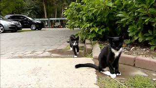 Urlaub Auf Dem Gretenhof