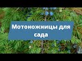 ЛУЧШИЙ ПОМОЩНИК ДЛЯ ДАЧИ | Обзор на мотоножницы STIHL HSA 26