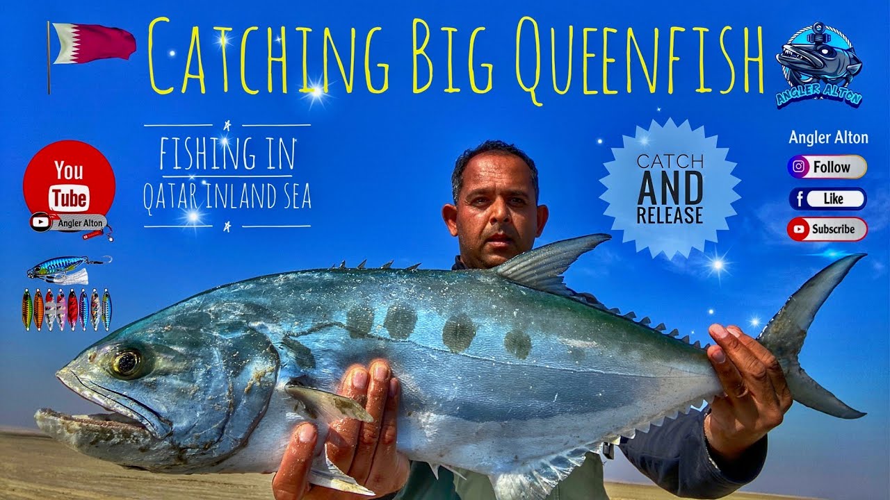 Catching Big Queenfish From Shore Fishing in Qatar YouTube