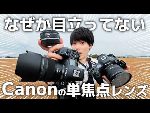 The Affordable Canon Prime Lens That Nobody Is Talking About - YouTube