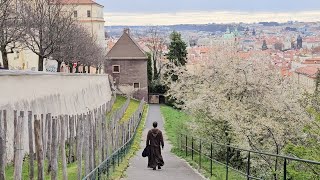 Famous Czech Brewery in Ancient Strahov Monastery. Panoramic Views of Prague.