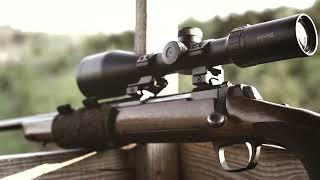 Roebuck Hunting In Germany