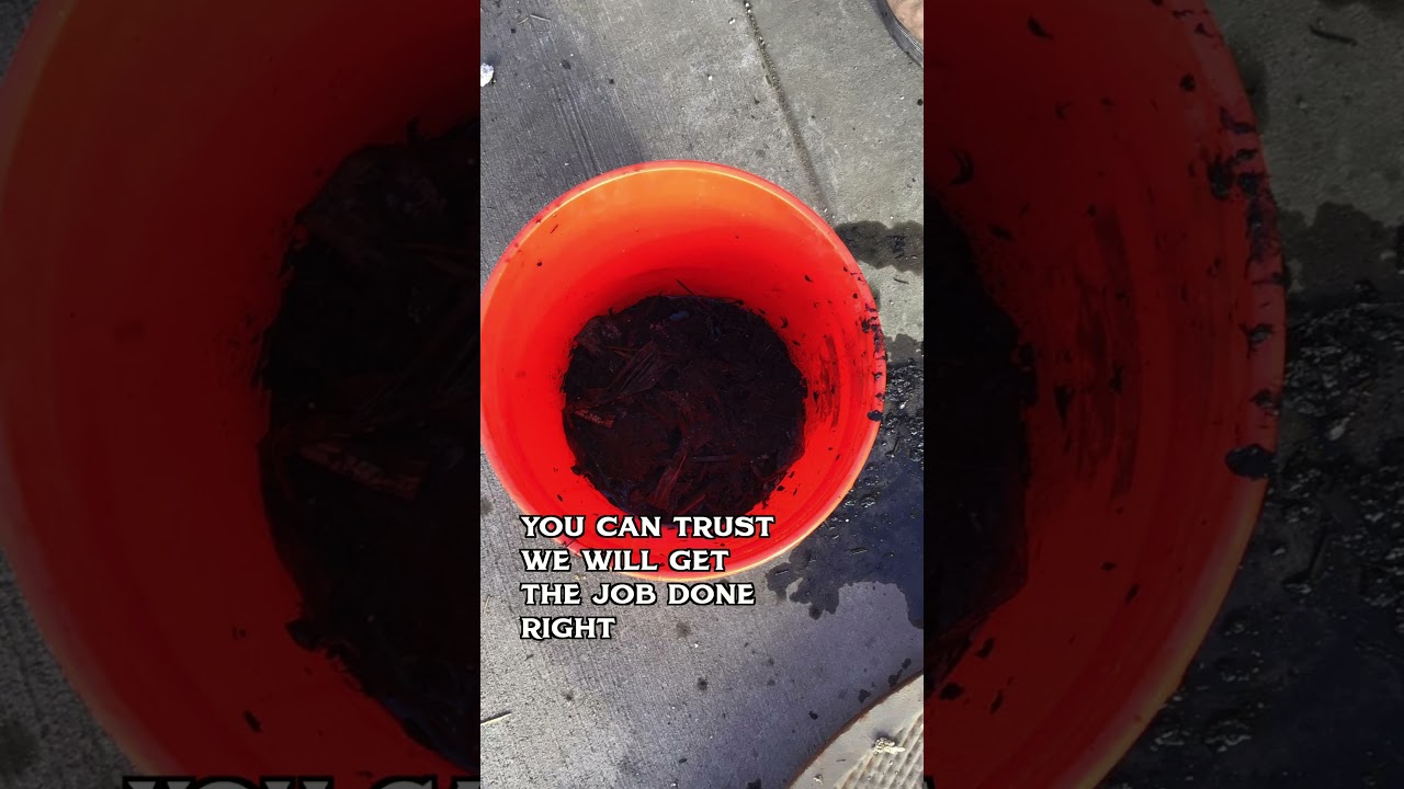 The Ultimate Viewpoint: Hawkke Cam