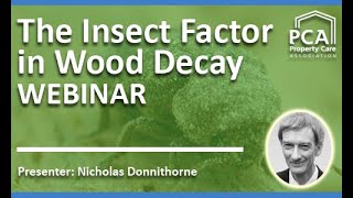 The Insect Factor in Wood Decay   Webinar
