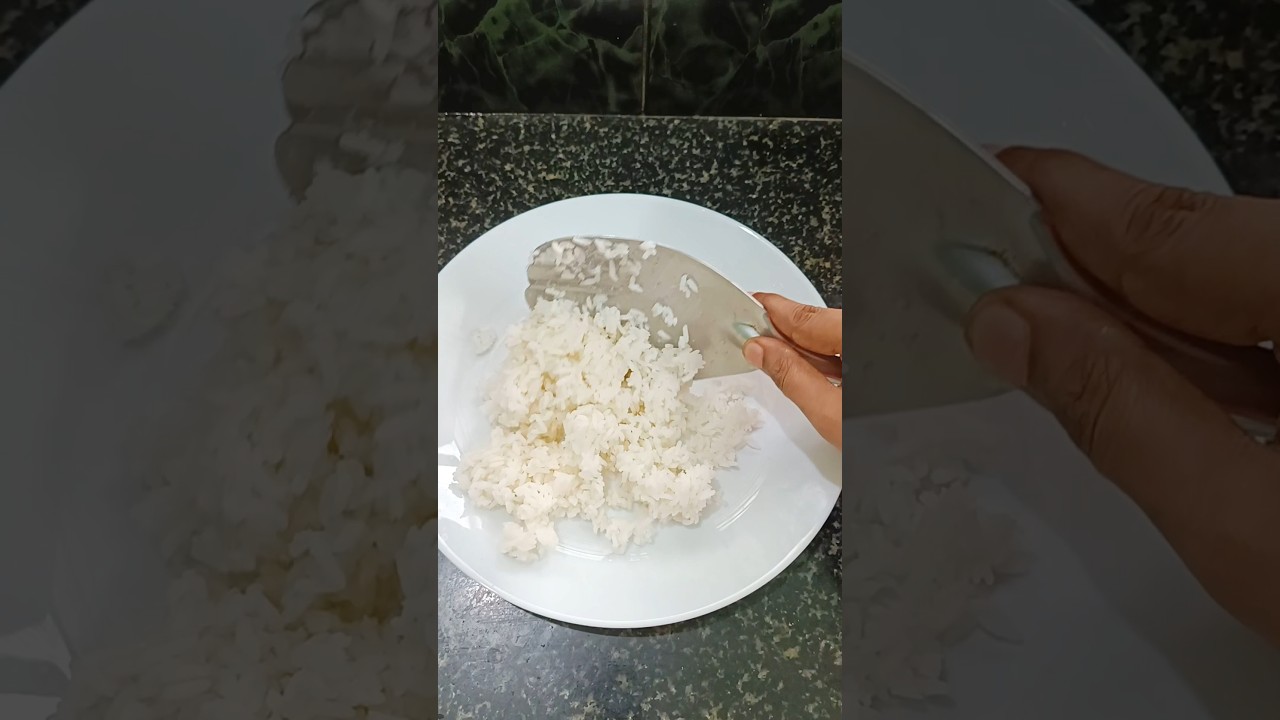 What's on my plate 🤩🍽️@ShinayasWorld | Veg Menu #shorts #shinayasworld #food #youtubeshorts