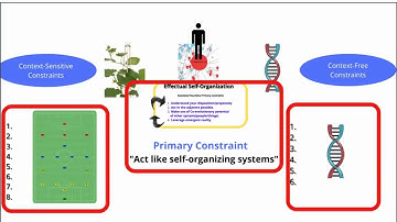 8. Eso-Loop Framework ; Constraints 2