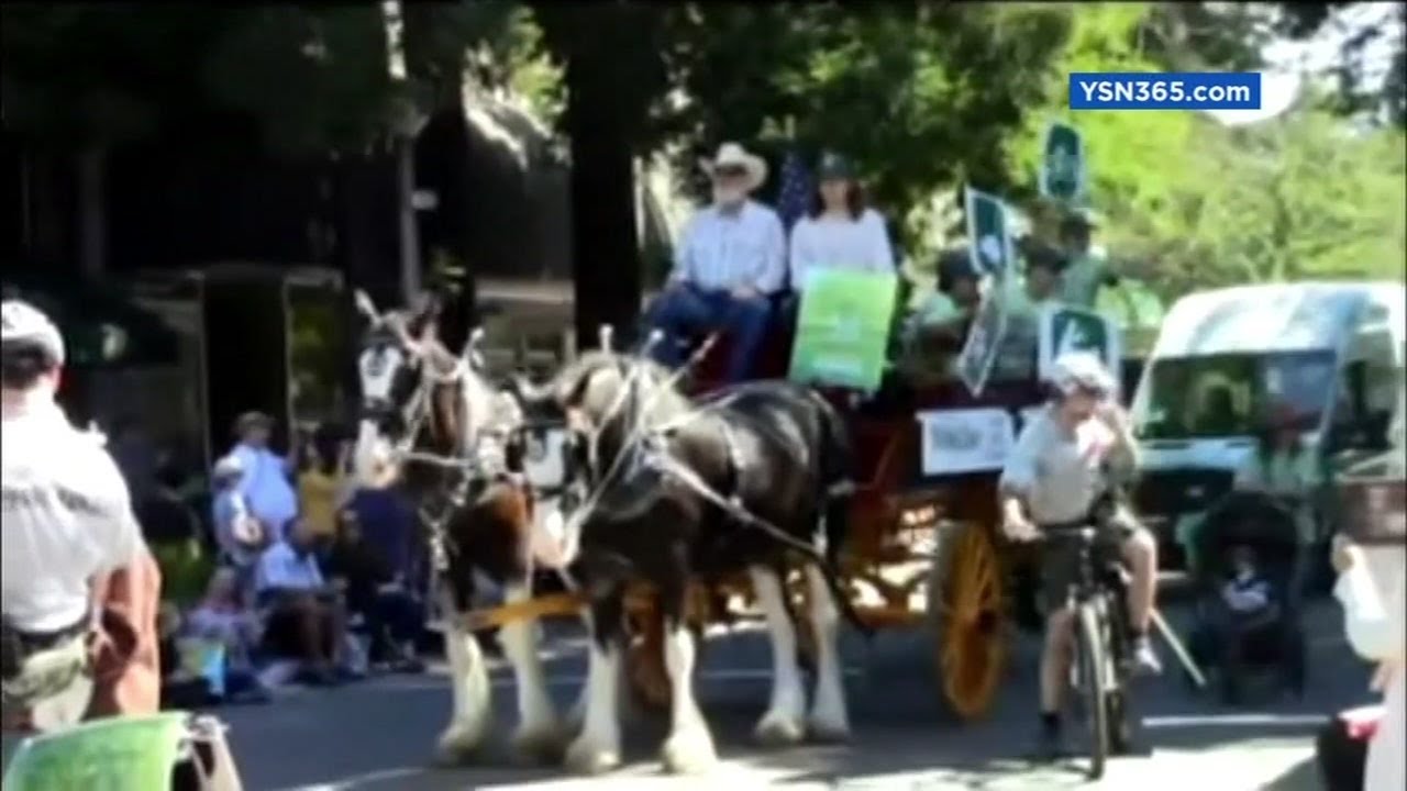 125-year-old North Bay tradition in danger of being canceled
