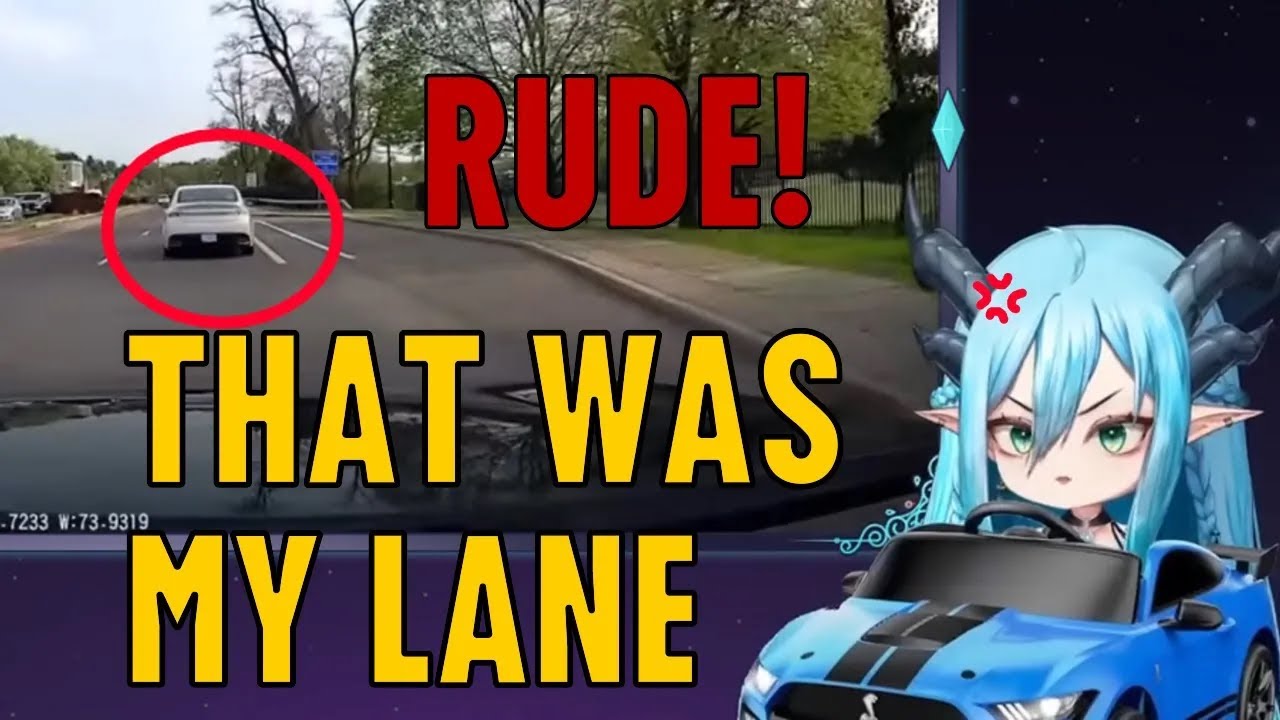 Some people don't know what side of the road to drive on. - Idiots in Cars