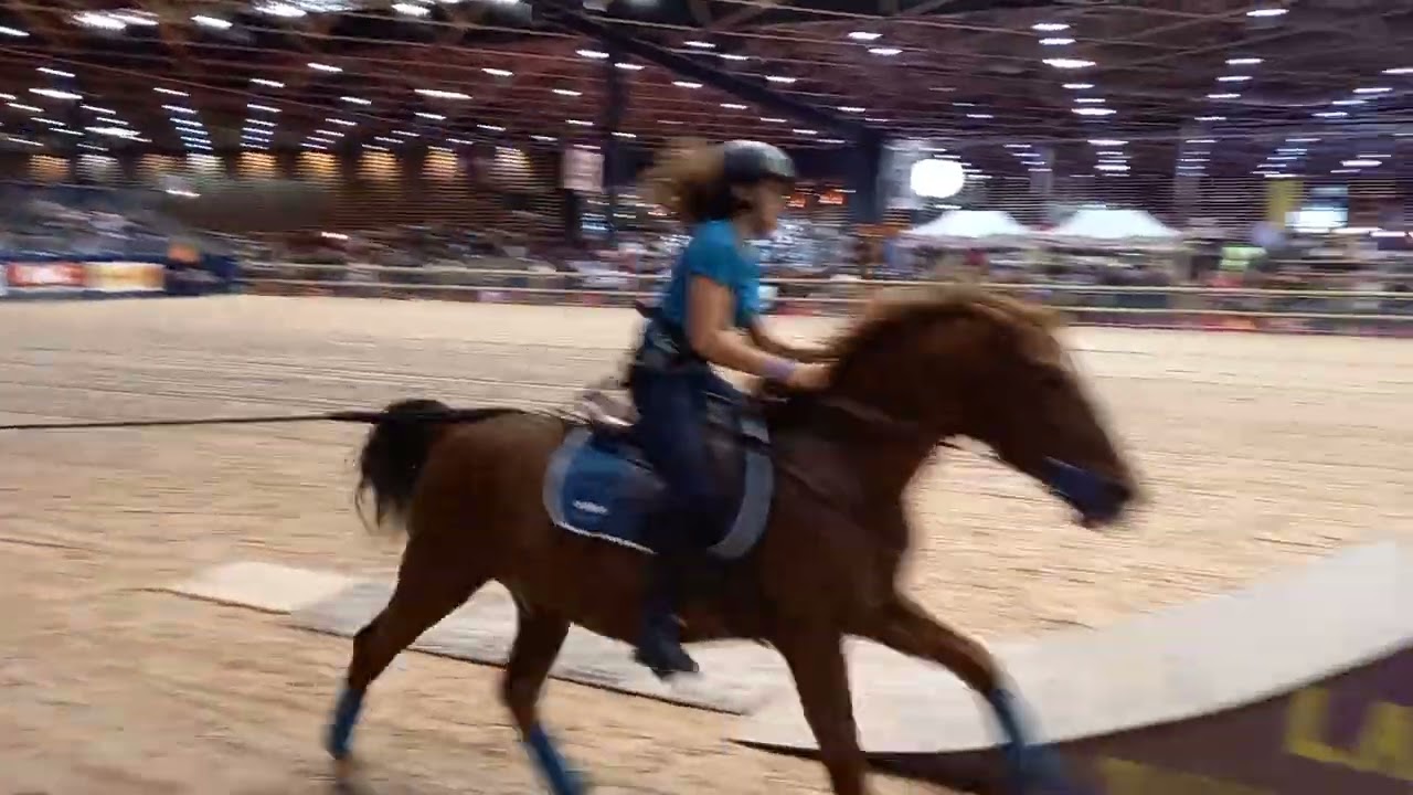 Inline skater hitches ride on horse then does front flip from ramp and lands back in arena