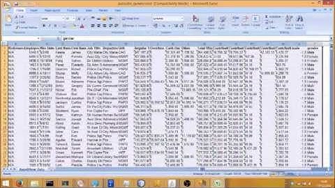 NamSor extension for RapidMiner to measure a Gender Pay Gap and other Diversity Analytics