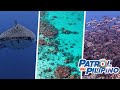Tubbataha Reef, a paradise at risk? | Patrol ng Pilipino
