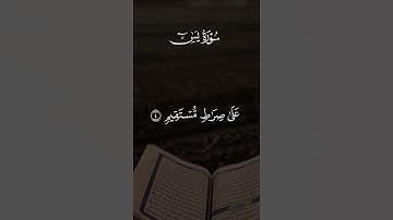 سورة يس✨🤍#قران_كريم #تلاوة_خاشعة #اسلام #راحة_نفسية #quran #like #share