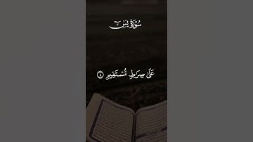 سورة يس✨🤍#قران_كريم #تلاوة_خاشعة #اسلام #راحة_نفسية #quran #like #share