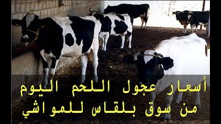 اسعار عجول اللحم جميع الموازين بسوق السبت ببلقاس اليوم 19/3/2022
