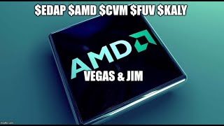 Vegas & Jim Wall Street Report $EDAP $AMD $FUV $CVM $KALY