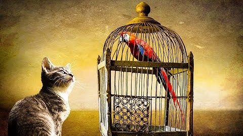 Instance Caging ... PROTECT your servers!