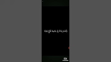 الشيخ محمد أيوب سورة طه