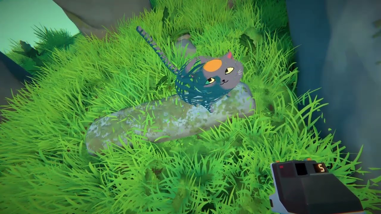 Viewfinder - Pet the Cait