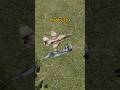MiG 29 Shoots Down F 16 Dcs Simulation 