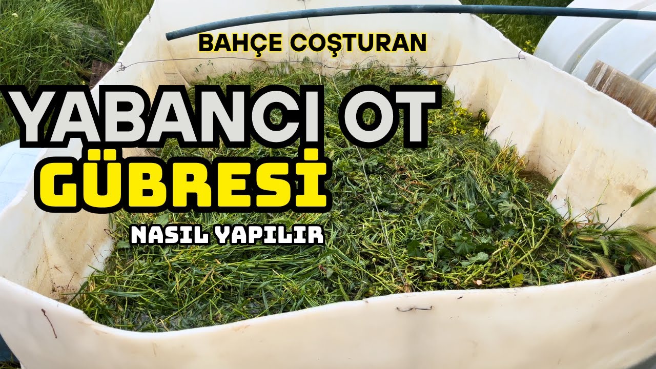 Yabancı Otları Atmayın! İşte Mükemmel Gübre Tarifi