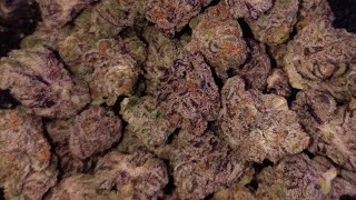 DULCE DE KREME STRAIN REVIEW FROM SHOP HELLO MARY