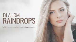 DJ AURM - Raindrops