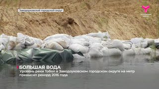 Уровень реки Тобол в Заводоуковском городском округе на метр превысил рекорд 2016 года