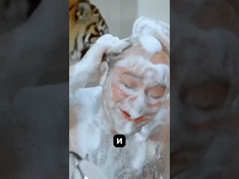 Как снимали сцену в ванной с Евгением Леоновым и тигром в фильме «Полосатый рейс» #кино