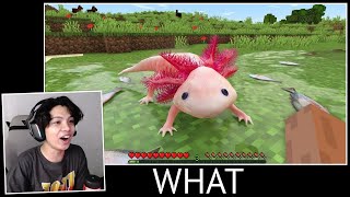 MINECRAFT ULTRA REALISTIC AXOLOTL TAK PERNAH MENGECEWAKAN~