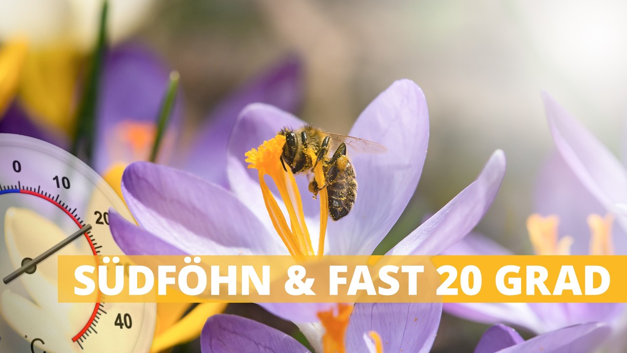 3-Tage-Wetter: Nach Kaltfront nochmals Südföhn und fast 20 Grad