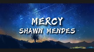 Mercy - Shawn Mendes (Lyric) Vibes