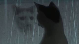 Miniatura del video "Polish Doomer Cat   -  ｓｚｔｕｋａ   ｌａｔａｎｉａ    lady pank (slowed down)"
