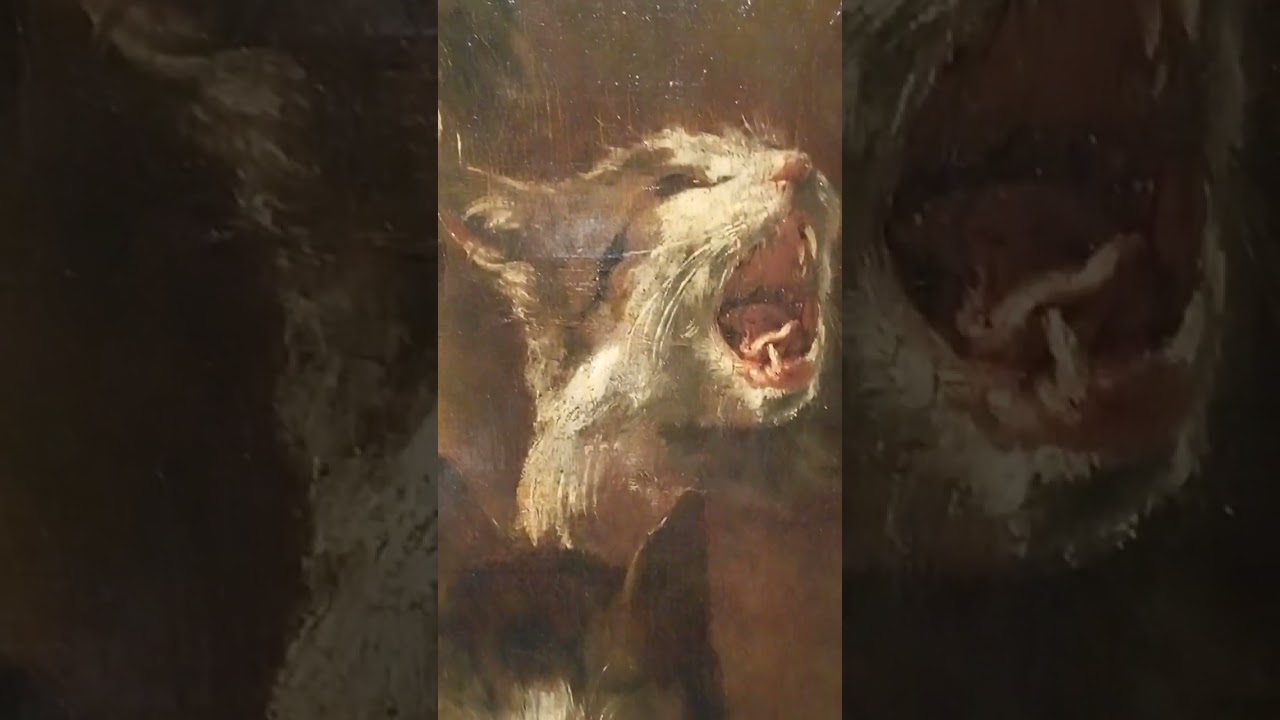 Питер Буль. Этюды кошачьей головы. 