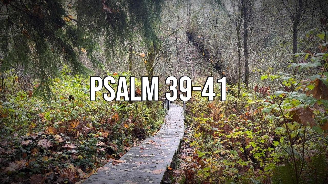 Psalm 39-41 