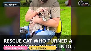 The Rescue Cat Who Turned a 'Non-Animal Person' Into Her Construction Buddy
