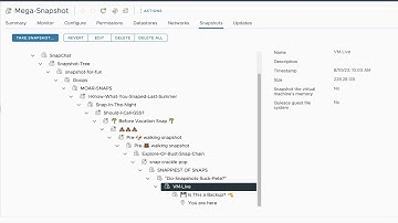 vSAN ESA Snapshot Demo