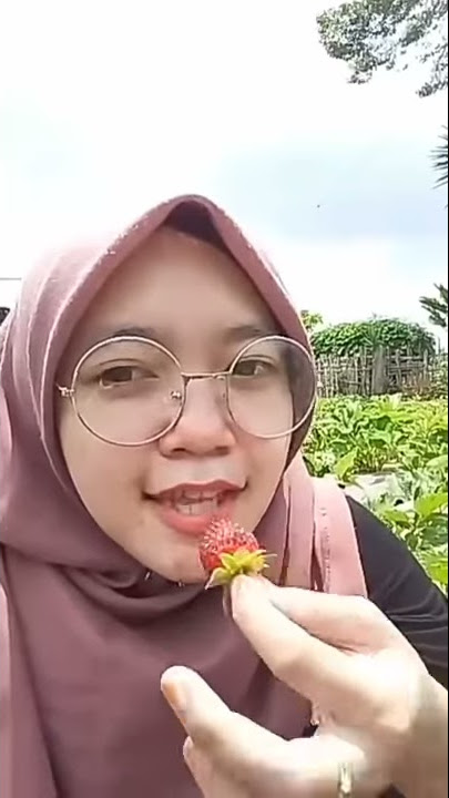 Strawberry purbalingga