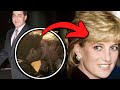 Princess diana and hasnat khan true love story and how it ends